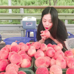 [근황] ‘복숭아’ 설리, 진짜 복숭아들과 조우…‘아이유 보고 있나’