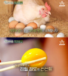 등고개 농장, 살충제 계란 파문 속 ‘착한계란’으로 눈길