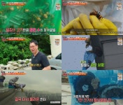 [리뷰] ‘NEW 코리아헌터’ 아파트 10층 높이 말벌 소탕 작전…성공？