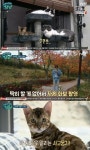 [리뷰] ‘개냥’ 남태현, 위너 탈퇴 후 첫 예능 “반려동물은 내 삶의 동반자”