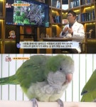 ‘동물동장’, 난폭한 앵무새 쵸리의 사랑 이야기…‘시선집중’