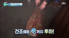 TV정보쇼 알짜왕 전남 함평 함평 신흥 해수찜…환절기 건강 여행 코스로 인기
