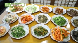 sbs 생방송 투데이 경기도 양평 맛집 용문산 가든…클래스가 다른 나물 밥상