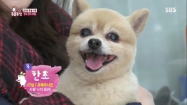 TV 동물농장 사람 나이 99세 할머니 포메라니안 칸초…최강동안 비결은?