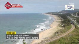 '생생 정보마당' 56km 아름다운 동해를 달리다…"삼척 바다 열차"