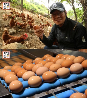'서민갑부' 연간 15억을 만드는 '황금알의 사나이'…비결은 무엇일까? | 포토뉴스