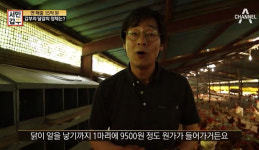 서민갑부 달걀, 연 매출 15억원 갑부의 달걀 정체는?
