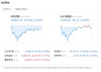 미국증시, 다우지수 0.30%↓ 나스닥 0.02%↓ 소폭 하락 마감…'급락세 아니라 다행'