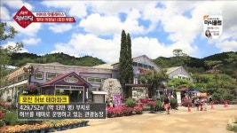 mbn 생생 정보마당 드레스 체험, 곤돌라…포천 허브 테마파크 여행지 추천