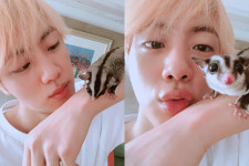 방탄소년단(BTS) 진, 애완동물과 함께한 일상 공개…월드와이드 클래스 미모