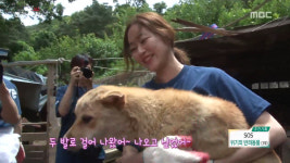 생방송 오늘 아침 배우 김효진 근황, 개농장 구조 봉사 참여 너무 안쓰럽다. 다 구하고 싶다