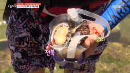 반질반질한 몽돌해변, 바다 체험하는 우가어촌마을, 힐링스팟 천마산 편백숲, 천연 에어컨 자수정동굴, 울산대교 조망 
