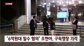 '사건 반장' 밀수 혐의 조현아 구속영장 기각, 이유는?