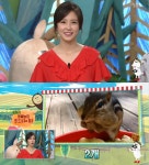 TV동물농장 오늘 날씨도 지속되는 폭염, 반려견 입맛 살려내는 방법