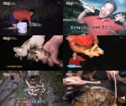 순간포착 세상에 이런일이 맨손 낚시, 2시간 만에 107마리 물고기를 줍는 남자