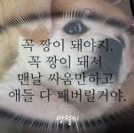 [스타포커스] 곽동연, 강아지 인절미(a.k.a. 짱절미)를 향한 끝없는 주접…성덕인증