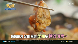 구석구석 코리아 경남 사천 해물탕&낙지볶음 맛집, 아비가일 먹방 싱싱함 느껴져 감동