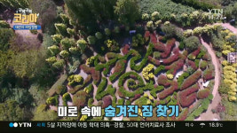 구석구석 코리아 충남 태안 여행, 팜파스(억새) 축제 열리는 청산수목원…핑크뮬리 꽃밭, 삼족오 미로정원 등 인생사진 명소