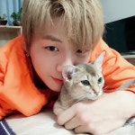 워너원(Wanna One) 강다니엘, 반려묘 고양이 오리와 부산 집에서 재회 꿀떨어지는 강집사