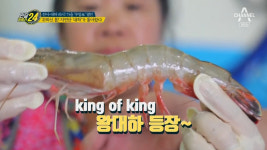 '관찰카메라24' 클라스가 다른 가을 밥상, 제철 맞은 무창포 대하·전어 '침샘 자극'