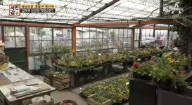 서민갑부 꽃갑부, 죄수들 유배지로 사용됐던 땅에 꽃 피우다 ··· 우수아이아 화훼농장 눈길