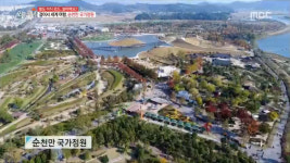 생방송 오늘 저녁 전남 순천 여행, 순천만 국가정원 걸어서 세계여행 기분!
