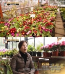 서민갑부 200회 꽃으로 피운 희망, 아르헨티나 화훼농장 갑부의 성공 신화