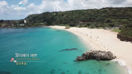 걸어서 세계속으로 하와이 여행, 알로하! 밝은 인사 건네는 그들…푸드트럭에서 파는 갈릭버터새우 침샘 자극