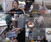 순간포착 세상에 이런일이 돈 맛 아는 개, 미용실에서 받은 용돈이 무려 100만원?