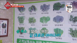 생생정보마당 다양한 종류의 쌈채소 있는 전북 익산 쌈밥 맛집 위치는?