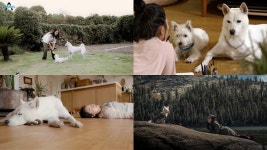 개밥 주는 남자3 - 개묘한 여행 윤진서, 첫 게스트 출연 결정…반려견과 제주도 생활은?