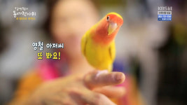 김영철의 동네 한 바퀴 성남 여행, 태평동의 마스코트 세탁소 앵무새 소망이와 별이