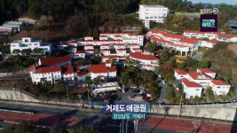 다큐 3일 거제도애광원 김인순 원장, 6.25로 엘리트 여성에서 전쟁고아들의 억척 엄마로…