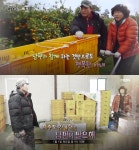 휴먼다큐 사노라면 359회, 제주도 감귤댁은 남편이 필요해
