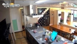 '미혼' 박세리, 올해 나이는? 동안미모 40대…집공개까지 대전 위치한 최고급 아파트 공개 
