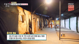 생방송 오늘 아침 양평 여행, 산 속 숯가마 찜질방 눈길…노릇노릇 군고구마·가래떡 눈길