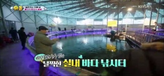 슈퍼맨이돌아왔다 벤틀리, 샘 해밍턴과 방문한 실내 낚시터에서 지렁이 흡입...? 일촉측발 상황 발생