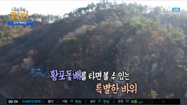 구석구석 코리아 충남 부여 여행, 마시면 세 살씩 젊어진다는 약수가 있다?