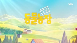 TV 동물농장 다시 만난 봉이…하반신 마비 재활치료, 성공적?