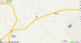 커피프렌즈 위치 어디야? 제주도의 감귤 농장을 배경으로 아름다운 풍경