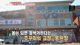 생방송 오늘 저녁 충남 서천 홍원항 맛집, 주꾸미 요리 맛있는 해산물 횟집 침샘 자극