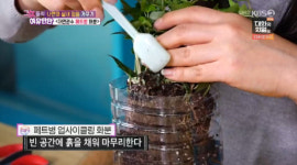 그녀들의 여유만만 나만의 실내 정원 가꾸기…홈 가드닝 꿀팁 전수