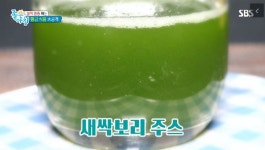 새싹보리분말, 알코올 해독 기능+면역력 증가에 효과적…하루 권장섭취는 얼마나?