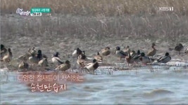 [종합] 6시 내고향, 인삼맛 나는 인디언 감자-종로 백년 양복집-웨딩 촬영 장소로 손색없는 순천 옥리단길 소개