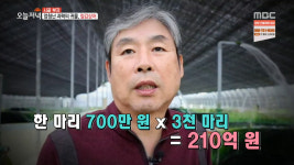 생방송 오늘저녁 캐비아(캐비어) 1kg 1,000만원 가치 함양철갑상어연구소 위치는?