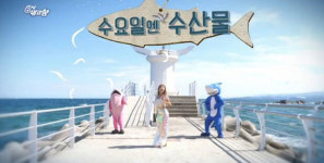 6시 내고향, 충남 금산 추부깻잎담은떡카페부터 강원 정선 다래수액까지…다양한 정보 전해