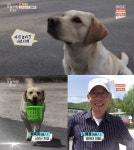 동물농장 천재犬 행복이 근황 공개 친자식 같은 특별한 존재…생방송 오늘아침 미니 다큐