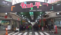 6시 내고향, 경남거제 맹종죽순부터 충북 청주 원마루시장까지…다양한 정보 눈길