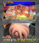 생방송 오늘저녁 강남 통문어물회 맛집, 멍게·해삼·전복 품어…문어숙회·해물짬뽕 등 침샘 자극
