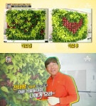 서민갑부 미세먼지 저감 7배 수직정원, 집-학교-병원-사무실 어디든 설치 가능…전태평 씨 난 식물·나무 마음 읽는 의사